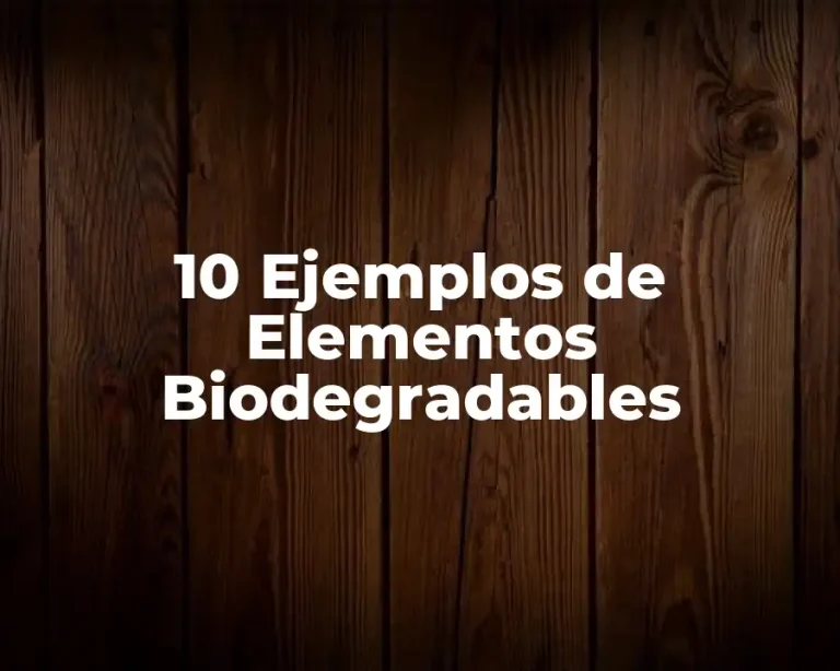 10 Ejemplos de Elementos Biodegradables