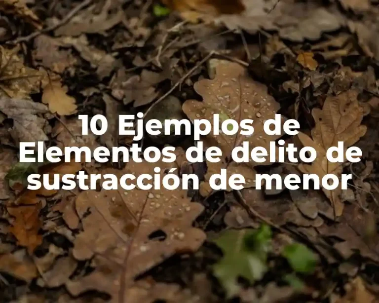 10 Ejemplos de Elementos de delito de sustracción de menor