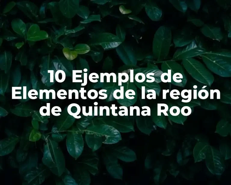 10 Ejemplos de Elementos de la región de Quintana Roo