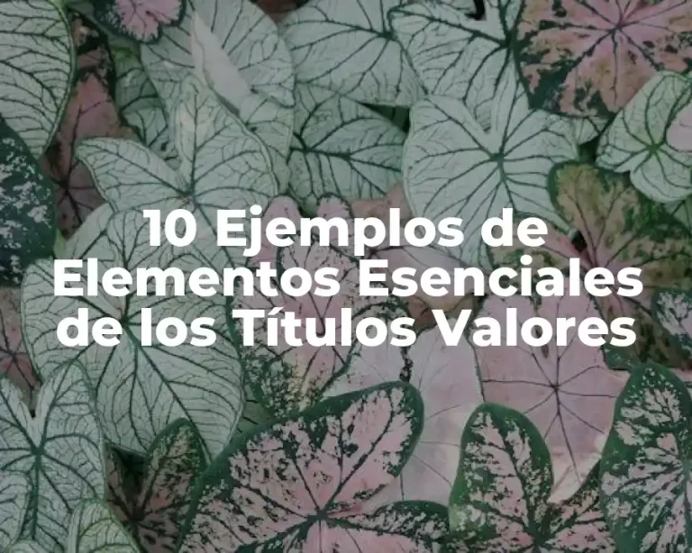 10 Ejemplos de Elementos Esenciales de los Títulos Valores