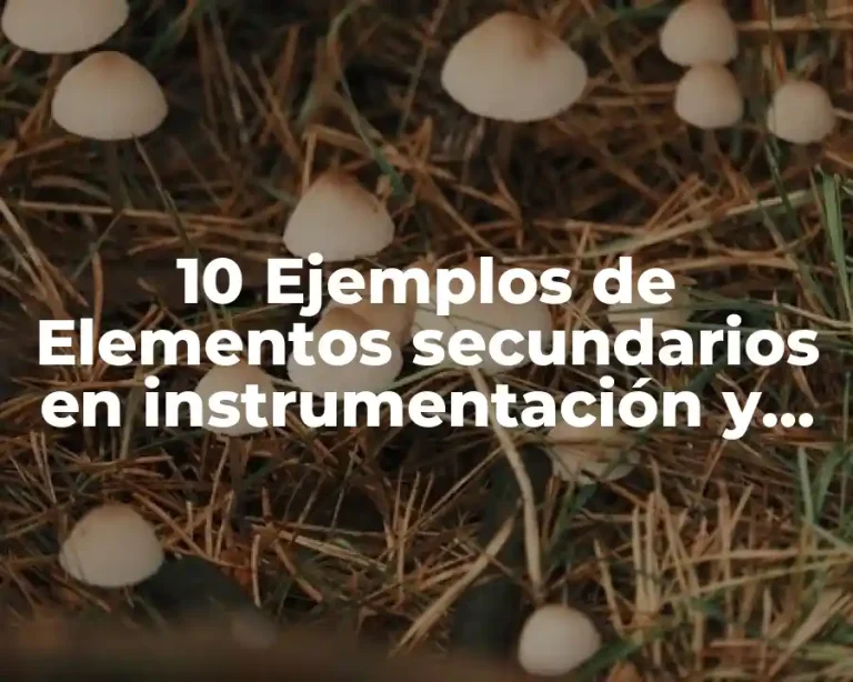 10 Ejemplos de Elementos secundarios en instrumentación y su clasificación