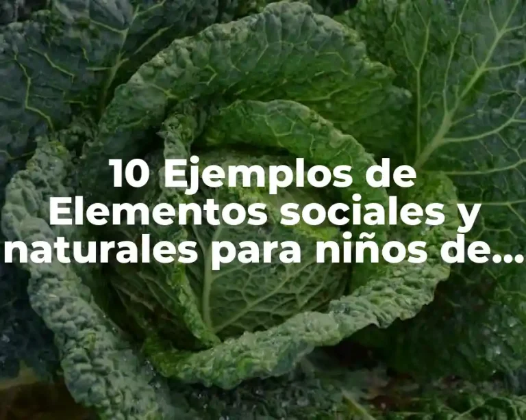 10 Ejemplos de Elementos sociales y naturales para niños de primaria