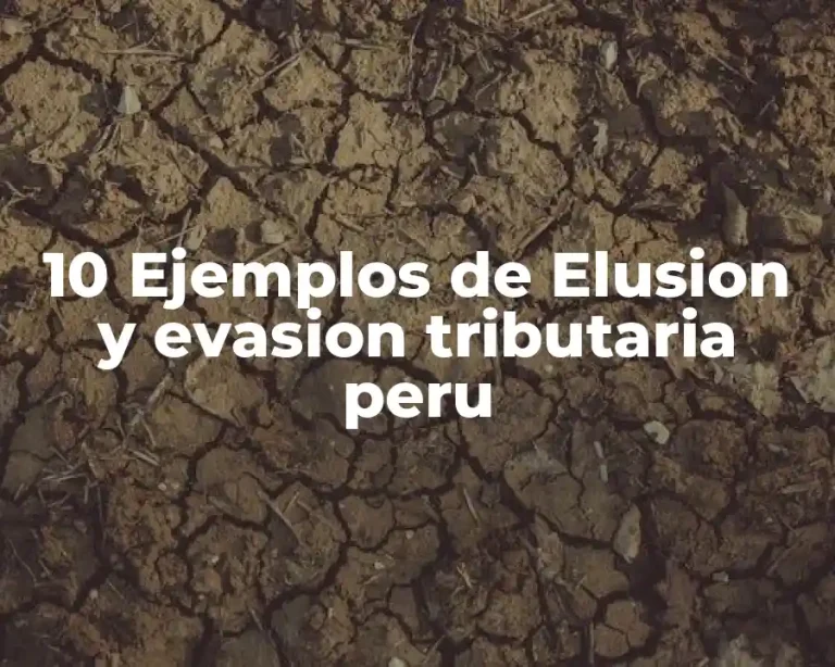 10 Ejemplos de Elusion y evasion tributaria peru