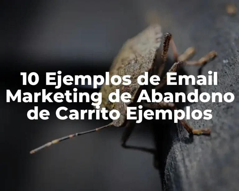 10 Ejemplos de Email Marketing de Abandono de Carrito Ejemplos