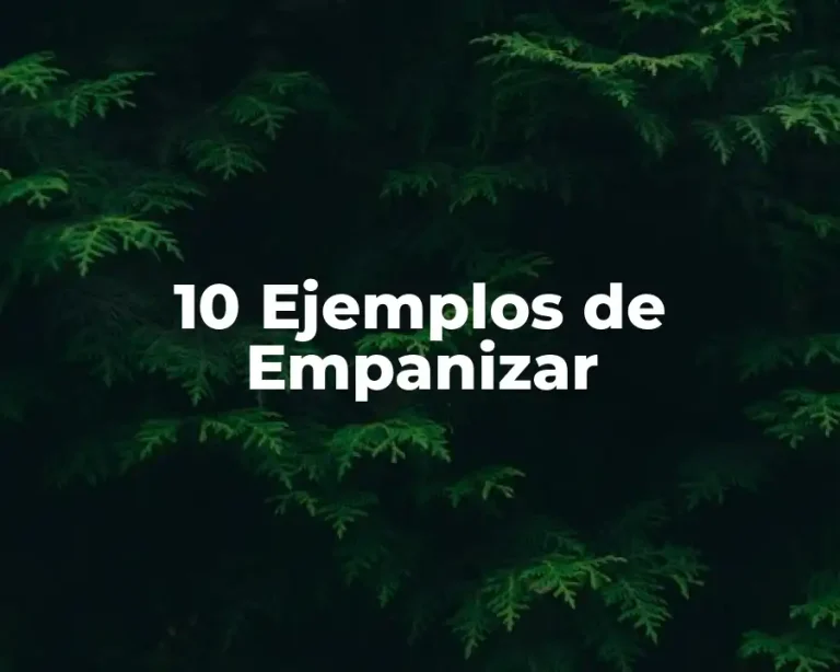 10 Ejemplos de Empanizar