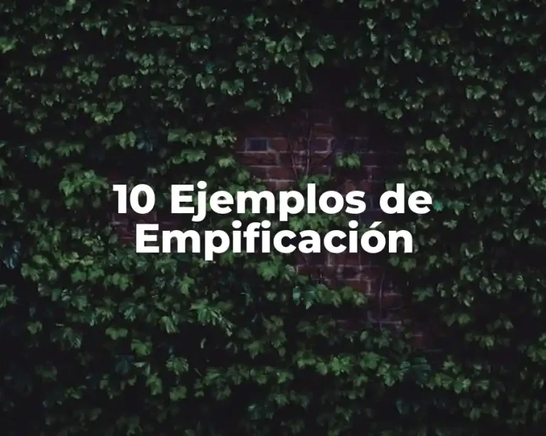 10 Ejemplos de Empificación