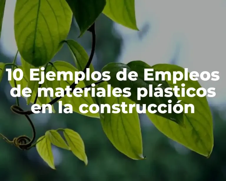 10 Ejemplos de Empleos de materiales plásticos en la construcción