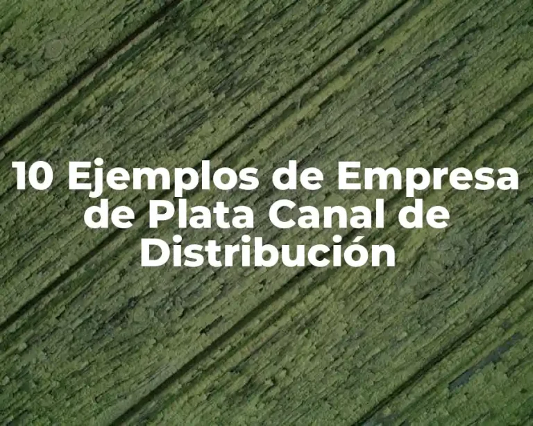 10 Ejemplos de Empresa de Plata Canal de Distribución