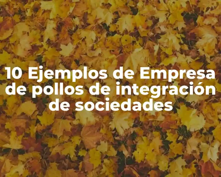 10 Ejemplos de Empresa de pollos de integración de sociedades