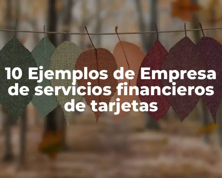 10 Ejemplos de Empresa de servicios financieros de tarjetas