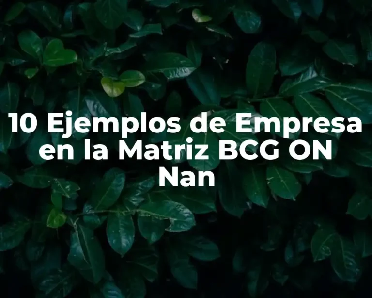10 Ejemplos de Empresa en la Matriz BCG ON Nan