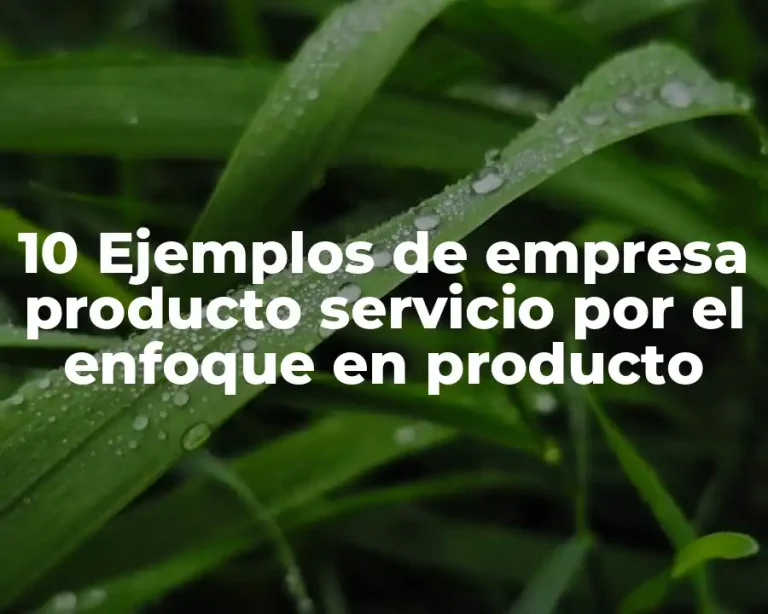 10 Ejemplos de empresa producto servicio por el enfoque en producto
