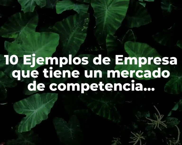 10 Ejemplos de Empresa que tiene un mercado de competencia perfecta