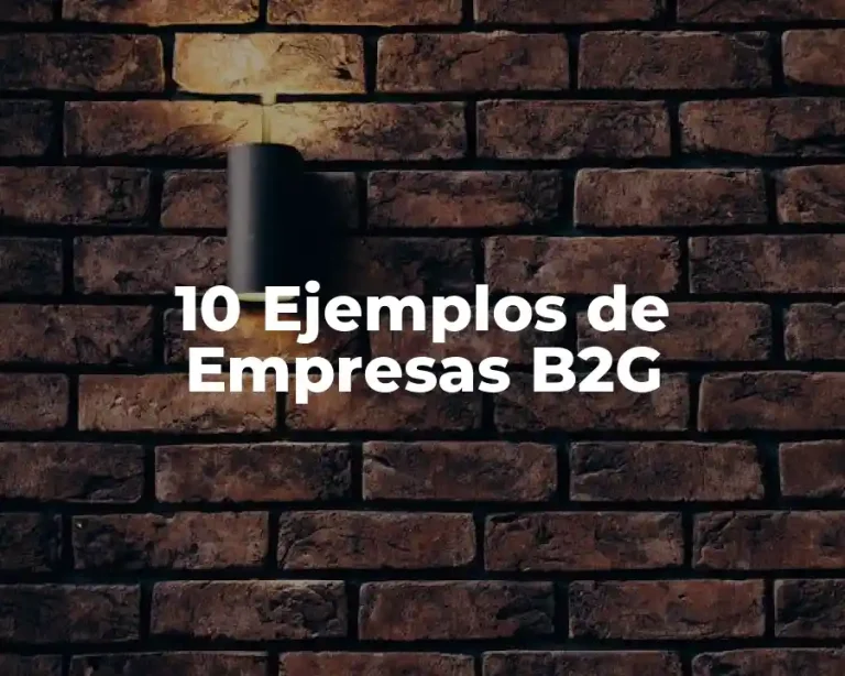 10 Ejemplos de Empresas B2G