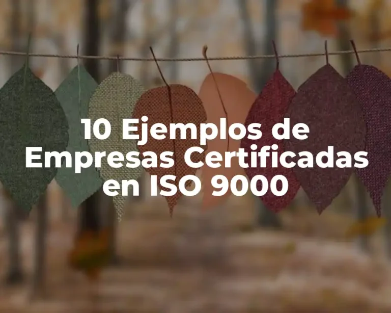 10 Ejemplos de Empresas Certificadas en ISO 9000