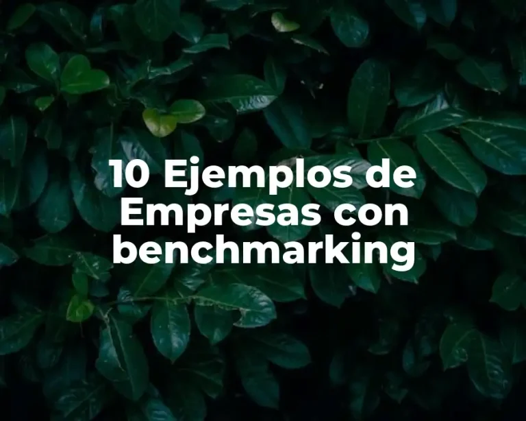 10 Ejemplos de Empresas con benchmarking