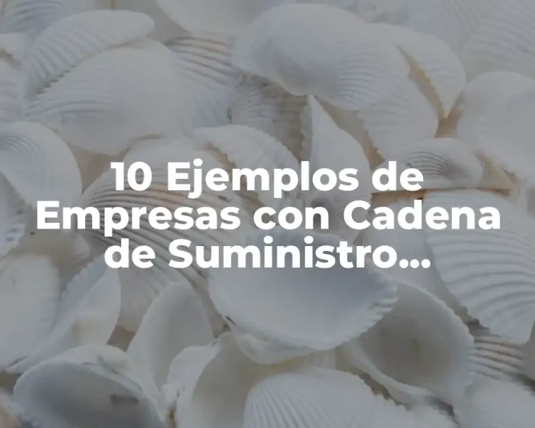 10 Ejemplos de Empresas con Cadena de Suministro Tradicional