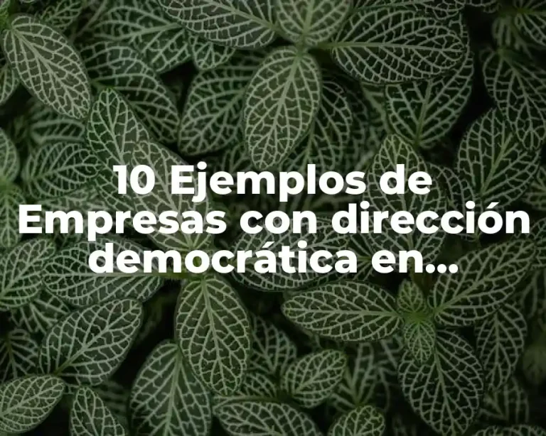 10 Ejemplos de Empresas con dirección democrática en Aguascalientes