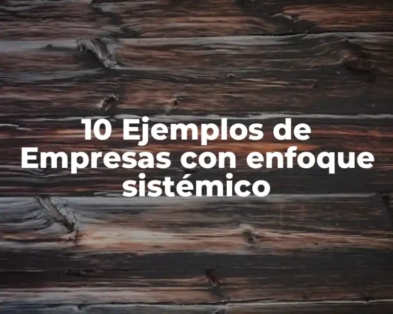 10 Ejemplos de Empresas con enfoque sistémico