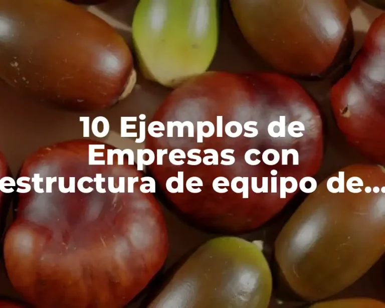 10 Ejemplos de Empresas con estructura de equipo de producto