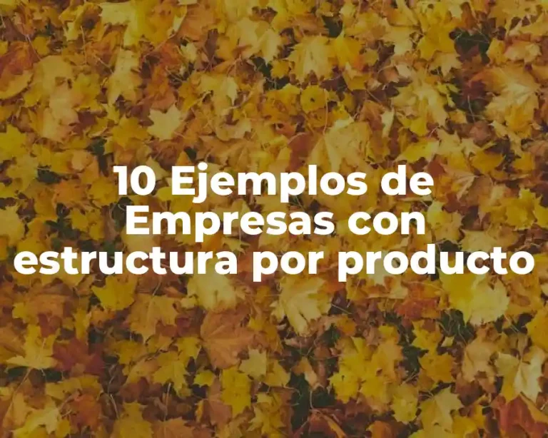 10 Ejemplos de Empresas con estructura por producto