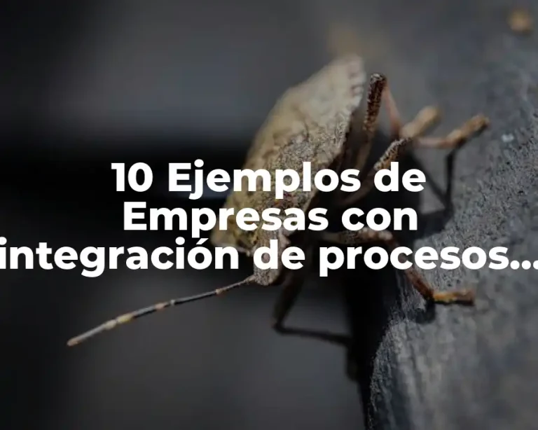 10 Ejemplos de Empresas con integración de procesos de negocio