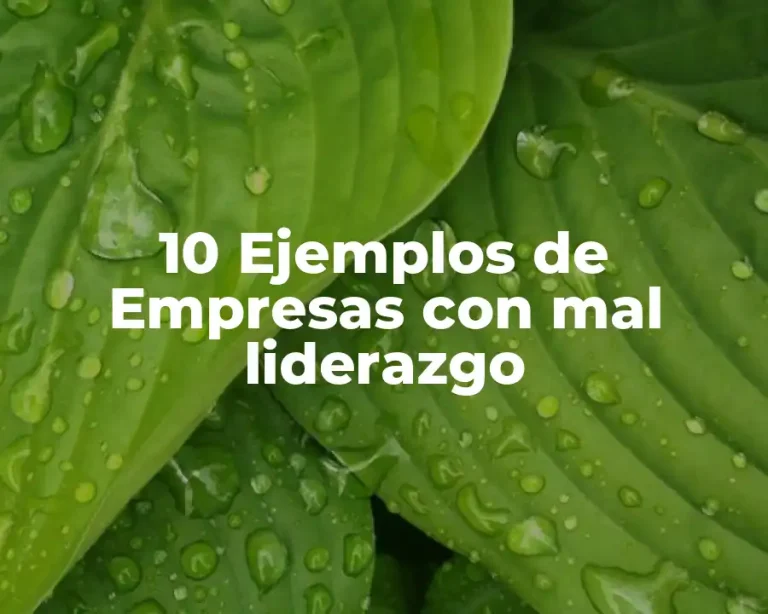 10 Ejemplos de Empresas con mal liderazgo