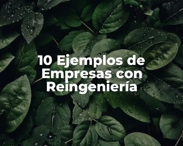 10 Ejemplos de Empresas con Reingeniería
