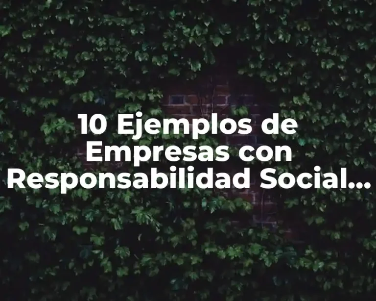 10 Ejemplos de Empresas con Responsabilidad Social Empresarial en Colombia