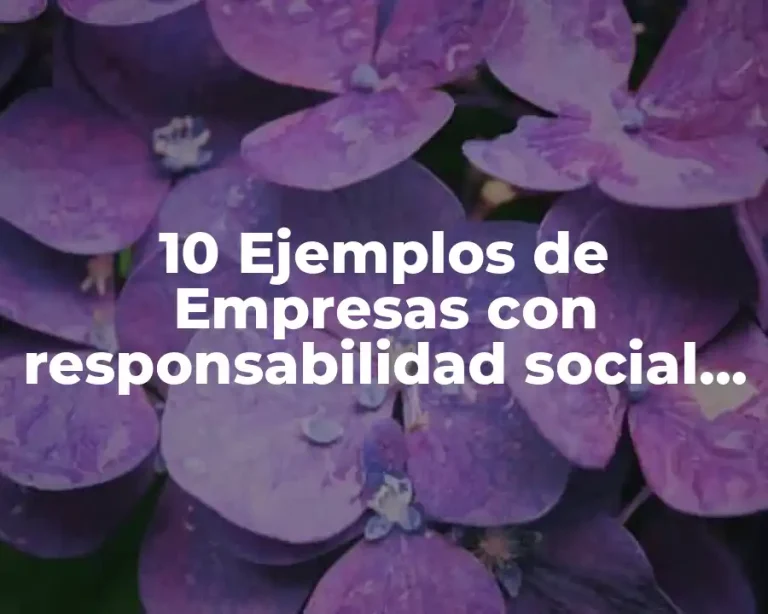 10 Ejemplos de Empresas con responsabilidad social empresarial en El Salvador