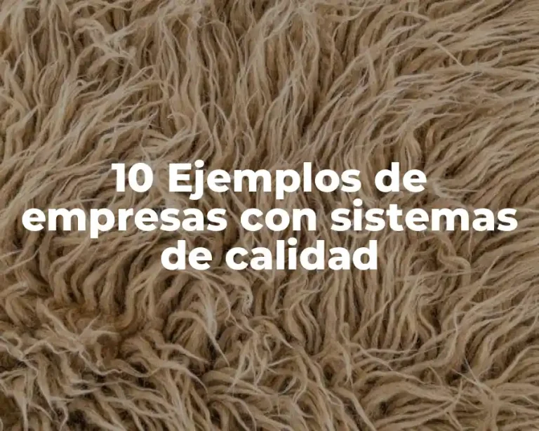 10 Ejemplos de empresas con sistemas de calidad