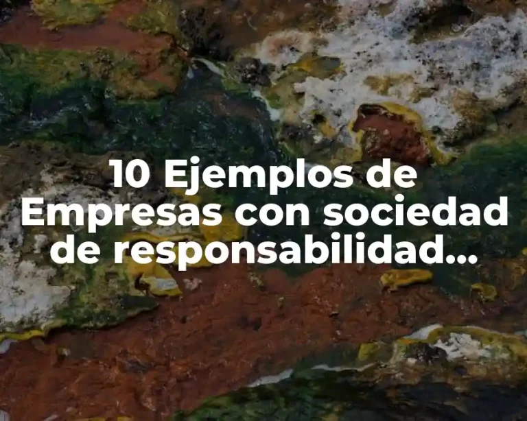 10 Ejemplos de Empresas con sociedad de responsabilidad limitada