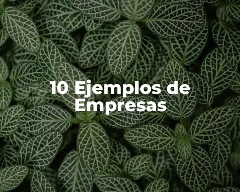 10 Ejemplos de Empresas