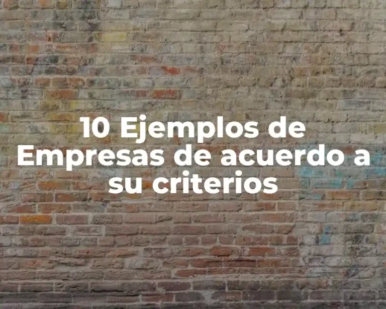 10 Ejemplos de Empresas de acuerdo a su criterios