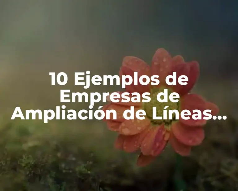 10 Ejemplos de Empresas de Ampliación de Líneas de Producto