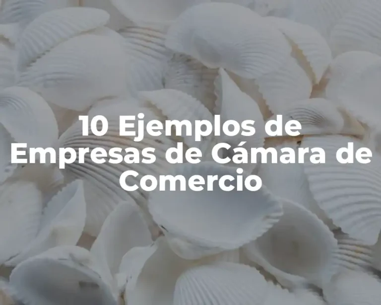 10 Ejemplos de Empresas de Cámara de Comercio