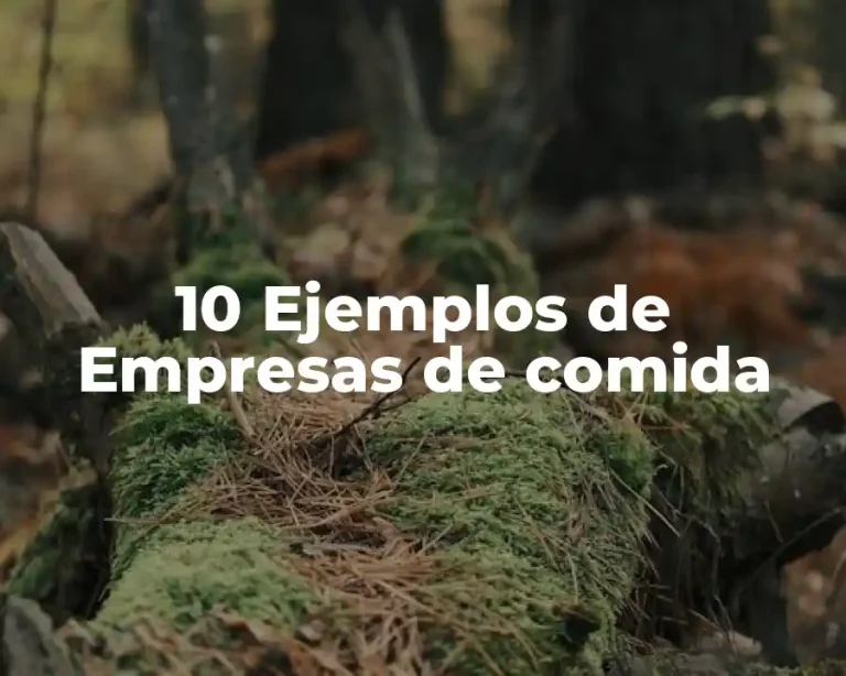 10 Ejemplos de Empresas de comida