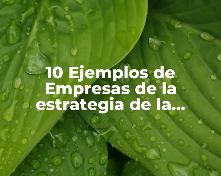 10 Ejemplos de Empresas de la estrategia de la administración financiera