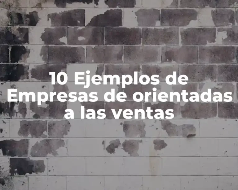 10 Ejemplos de Empresas de orientadas a las ventas
