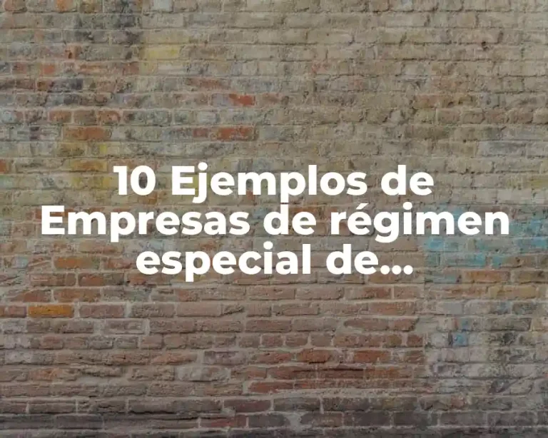 10 Ejemplos de Empresas de régimen especial de incorporación fiscal