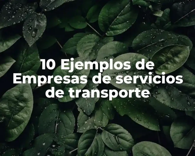 10 Ejemplos de Empresas de servicios de transporte