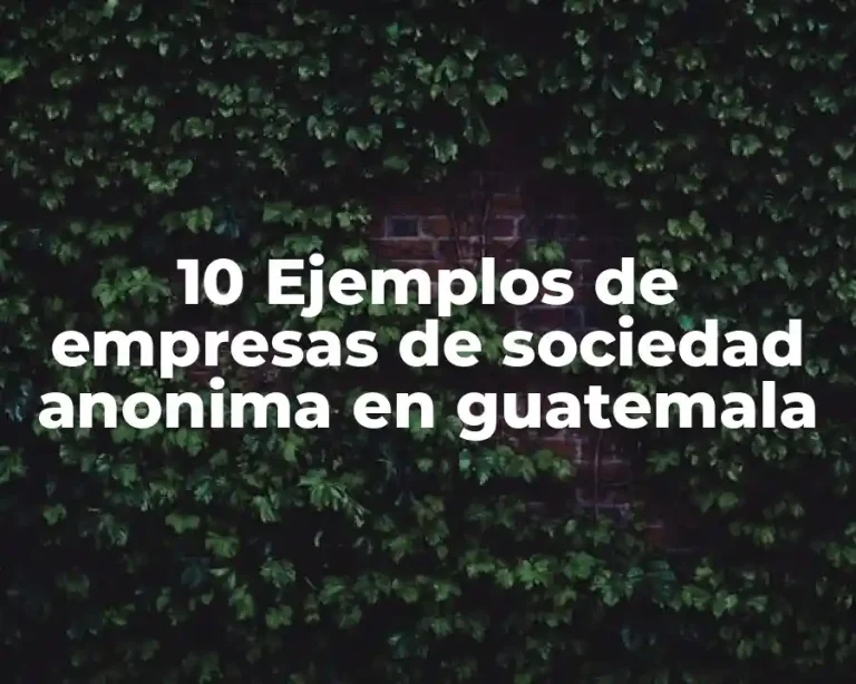 10 Ejemplos de empresas de sociedad anonima en guatemala
