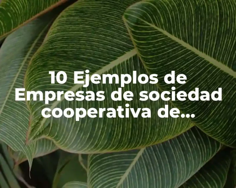 10 Ejemplos de Empresas de sociedad cooperativa de producción