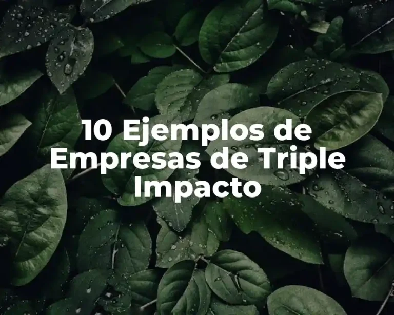 10 Ejemplos de Empresas de Triple Impacto