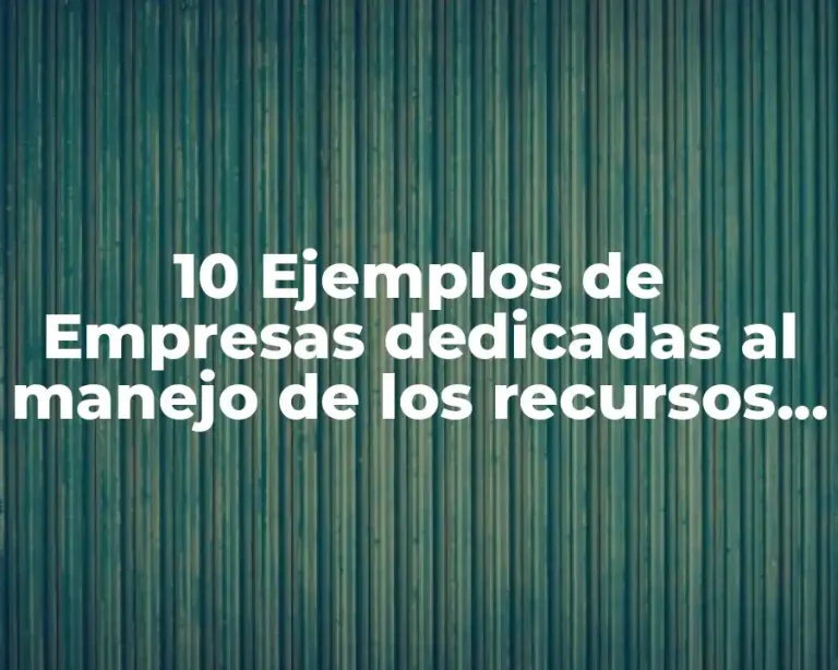 10 Ejemplos de Empresas dedicadas al manejo de los recursos monetarios