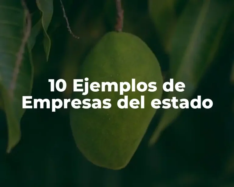 10 Ejemplos de Empresas del estado