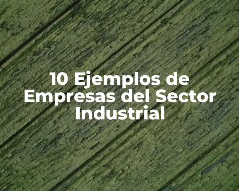 10 Ejemplos de Empresas del Sector Industrial