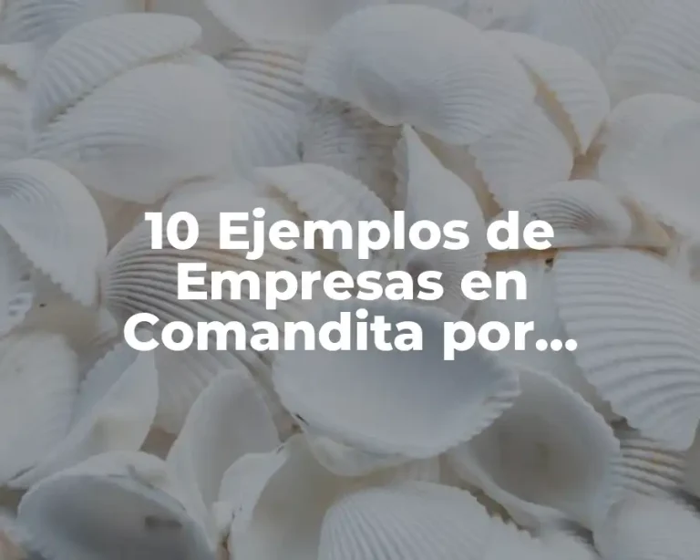 10 Ejemplos de Empresas en Comandita por Acciones en México