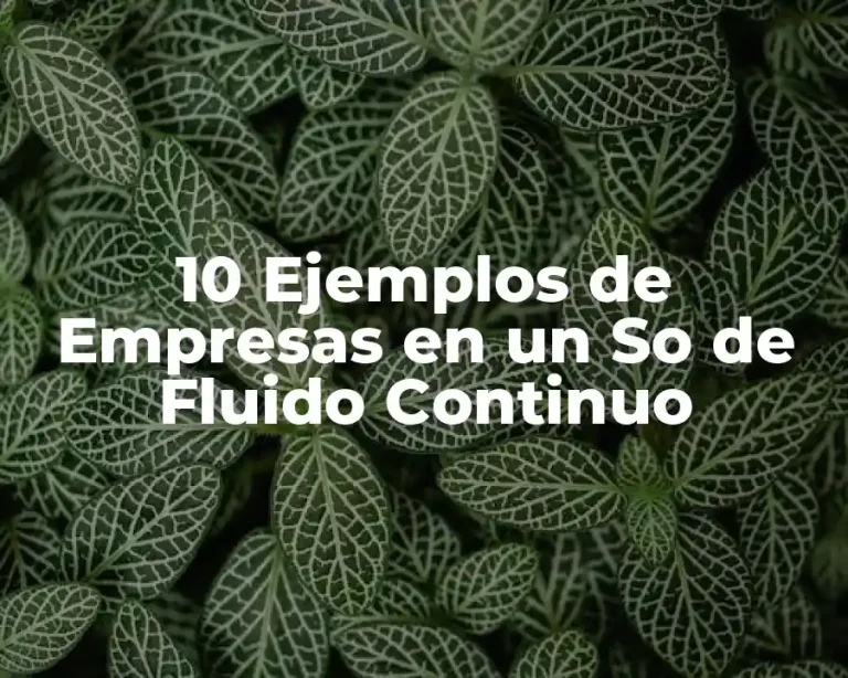 10 Ejemplos de Empresas en un So de Fluido Continuo