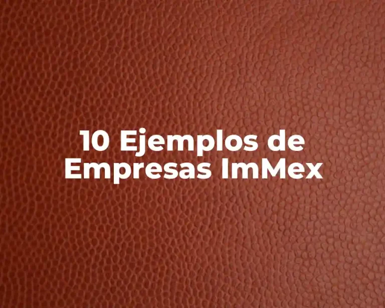 10 Ejemplos de Empresas ImMex